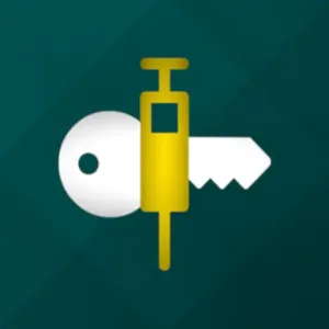 تي إل إس تونل